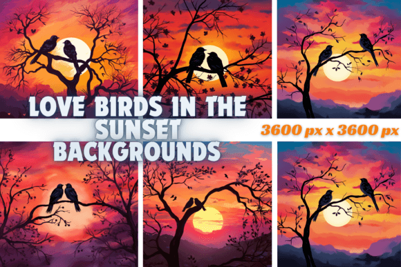 Love Birds in the Sunset Backgrounds: A Designer's Guide